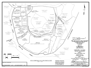 Crescent neighborhood site composite lot and parcel map